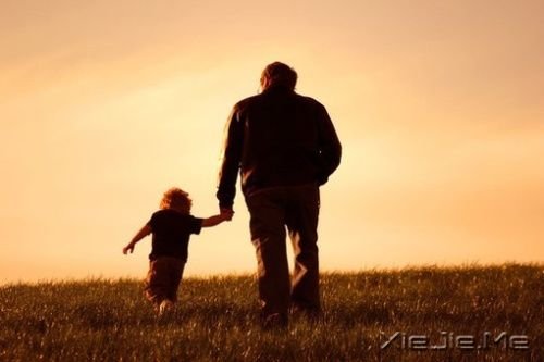 爸，父亲节快乐 (11)